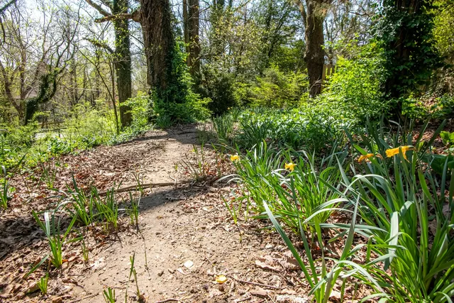 $599,000 | 105 Forrest Avenue North, Lookout Mountain, TN 37350