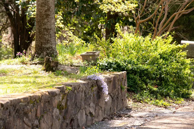 $599,000 | 105 Forrest Avenue North, Lookout Mountain, TN 37350