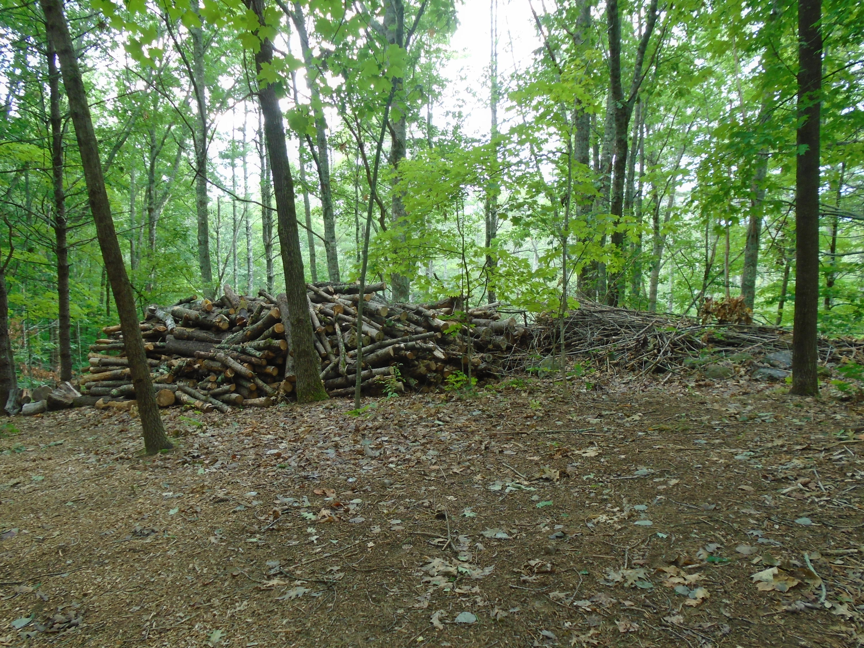 216 Sanborn Road Newfield, ME 04095 - Photo 29 of 33 DSC02093