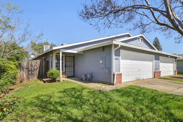 a view of a backyard with potted plants and a large tree