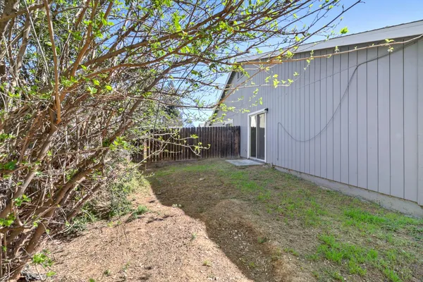a view of a backyard with plants and large trees