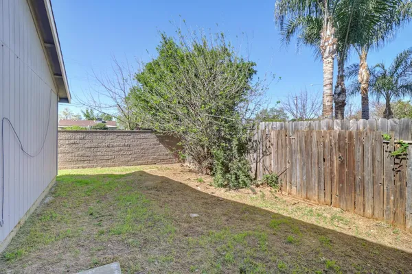 a view of a yard with plants and trees