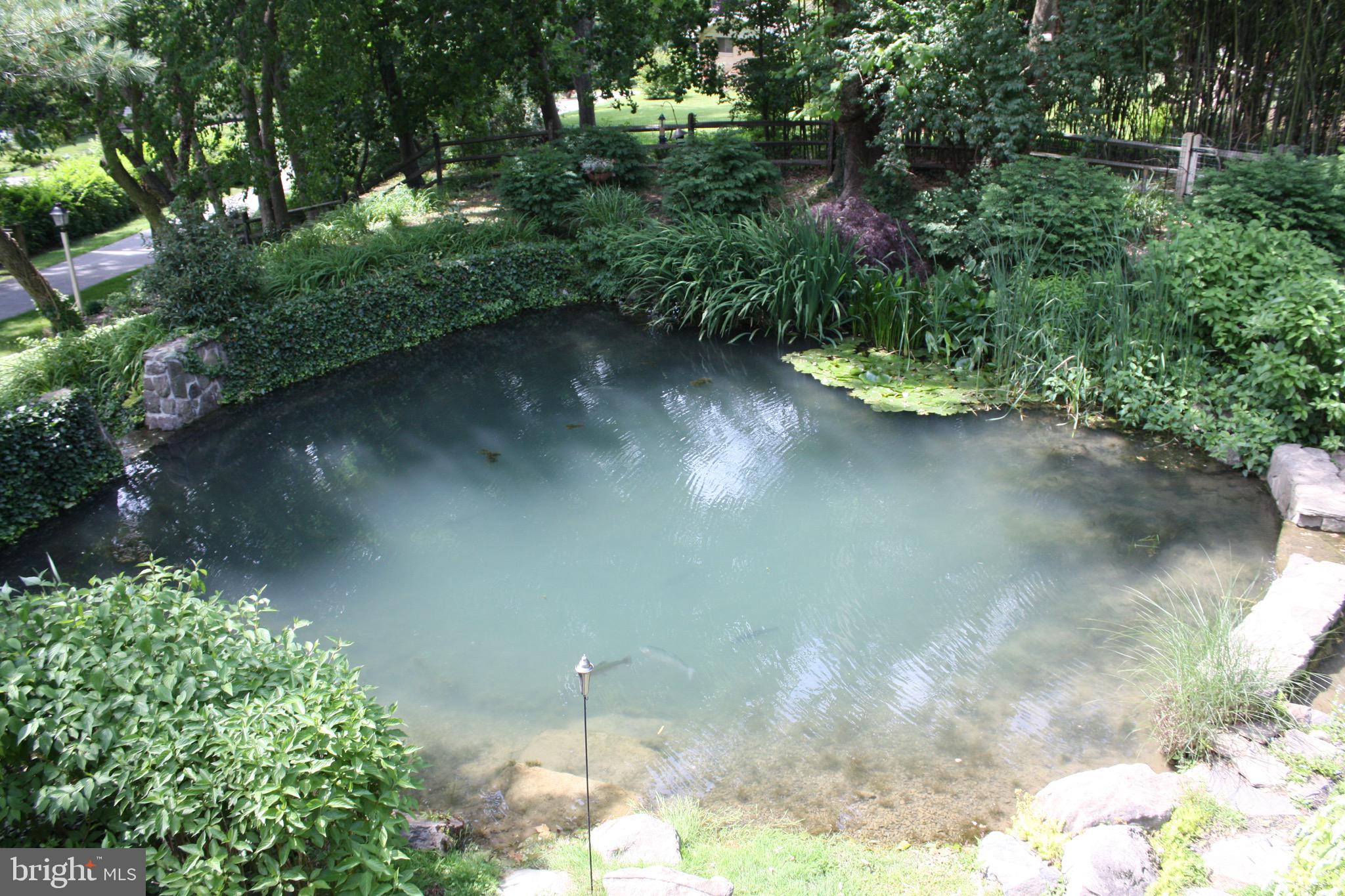 18 Berkshire Drive Wayne, PA 19087 - Photo 13 of 46 View of pond from deck and house