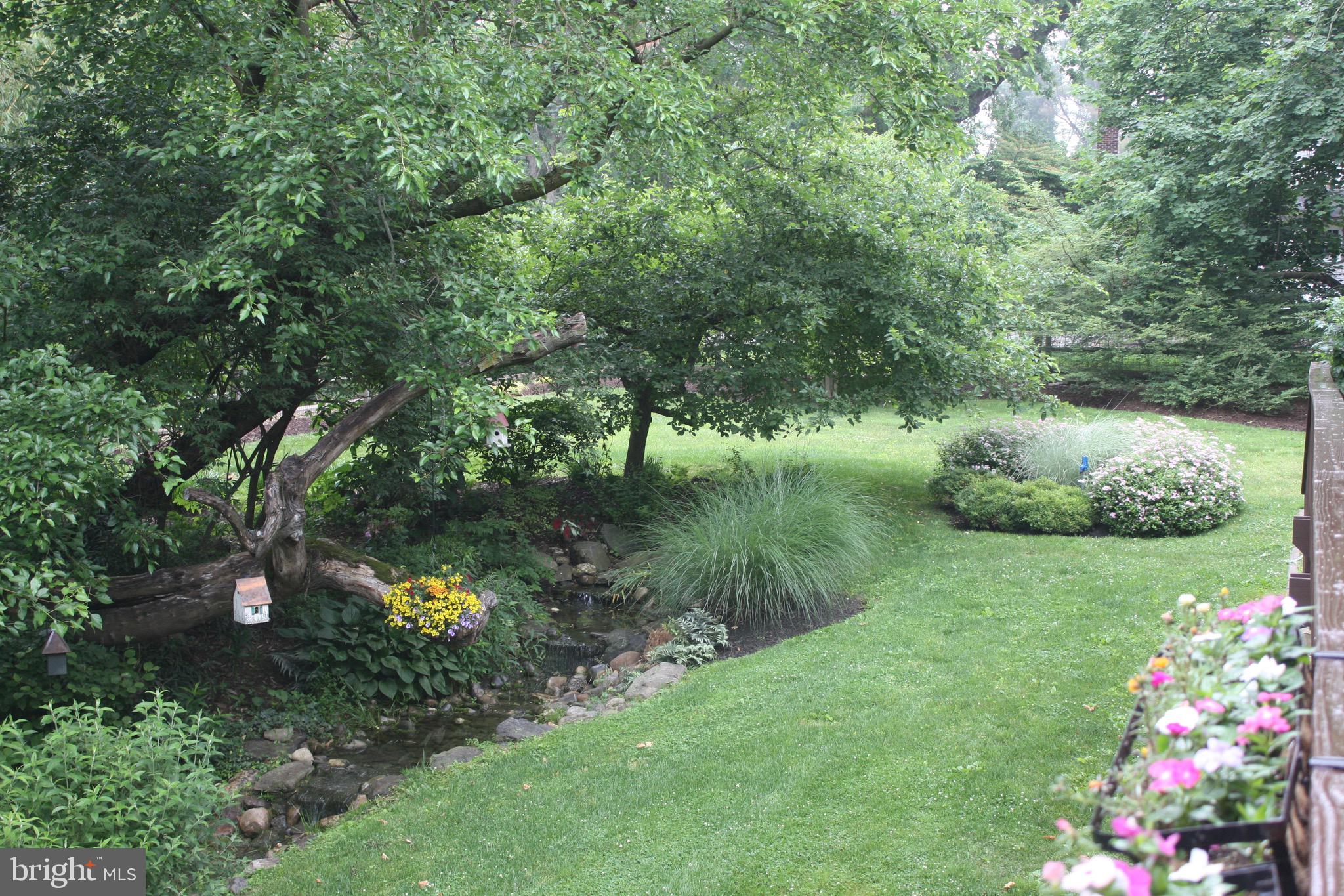 18 Berkshire Drive Wayne, PA 19087 - Photo 7 of 46 Stream with many waterfalls supplies water to pond