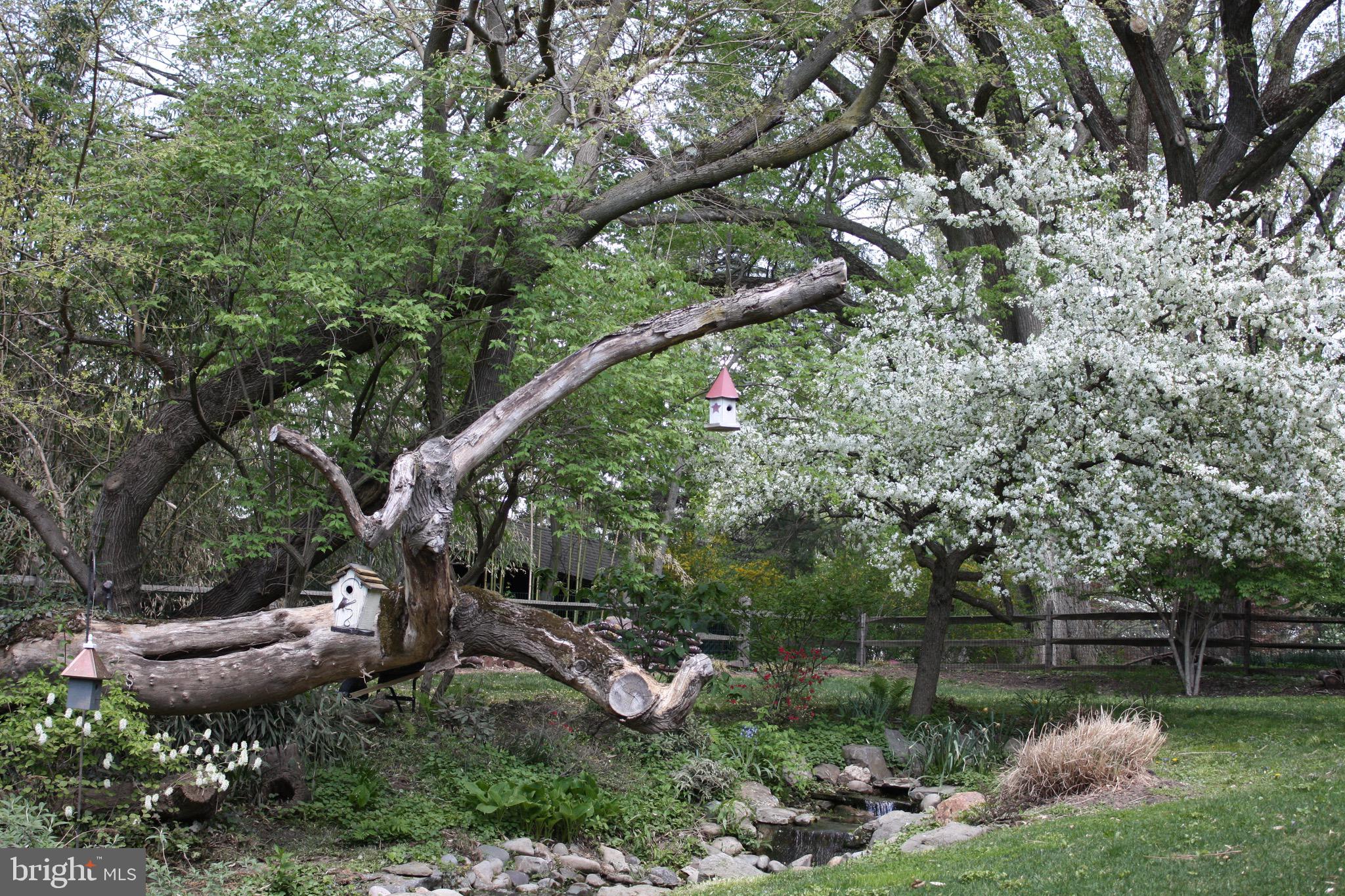 18 Berkshire Drive Wayne, PA 19087 - Photo 10 of 46