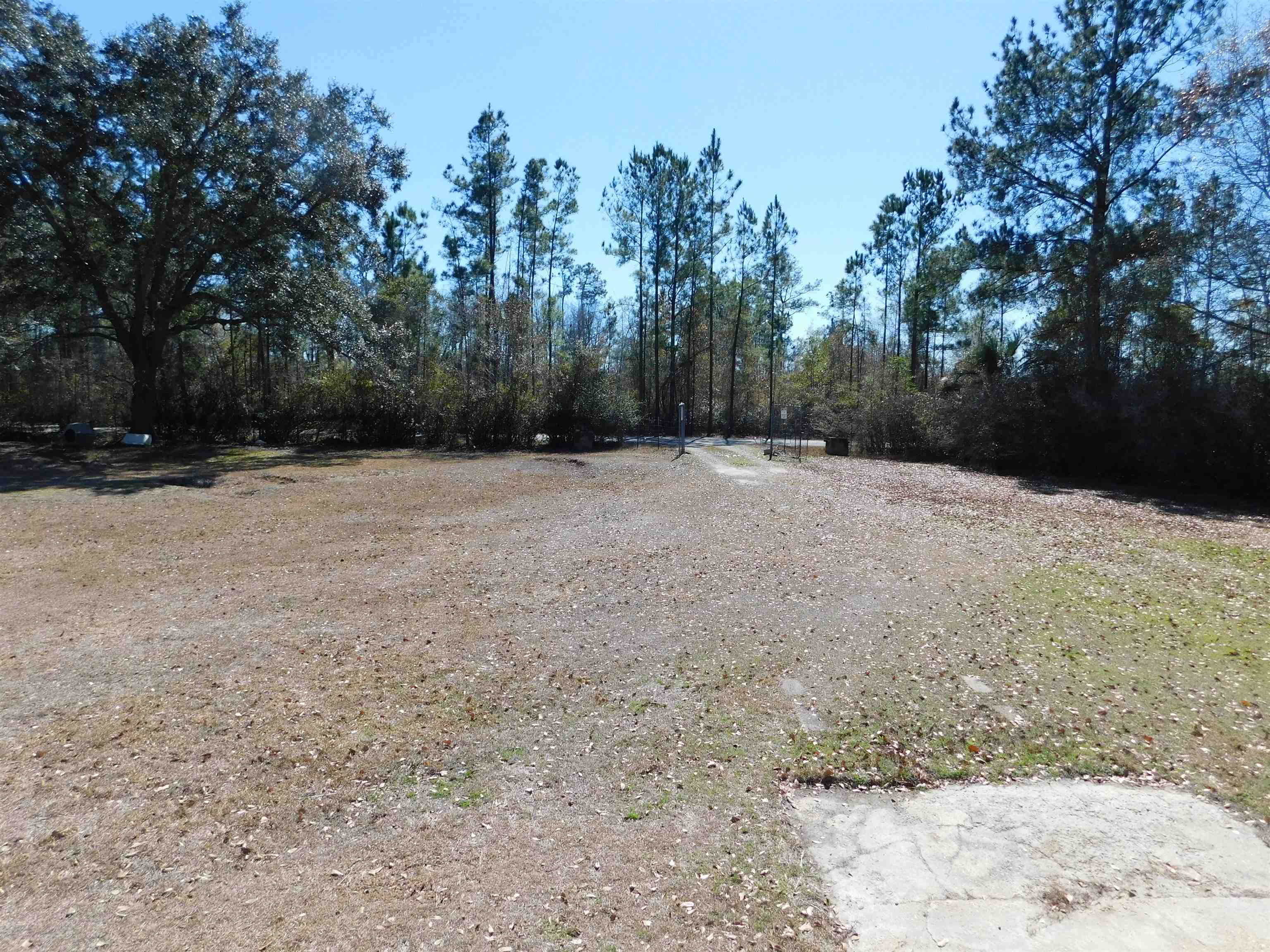 1181 Elk Club Road Quincy, FL 32352 - Photo 3 of 27