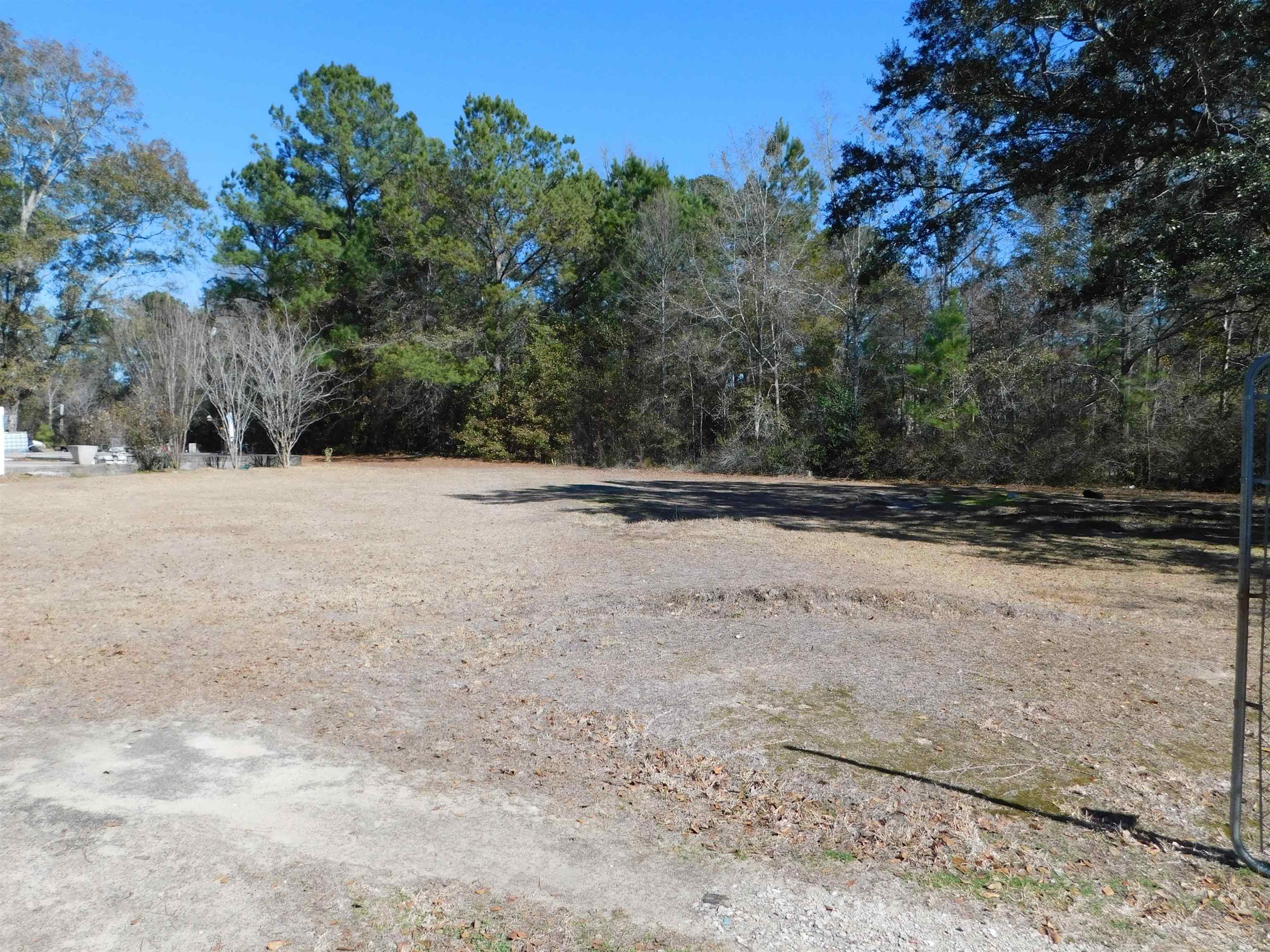 1181 Elk Club Road Quincy, FL 32352 - Photo 6 of 27