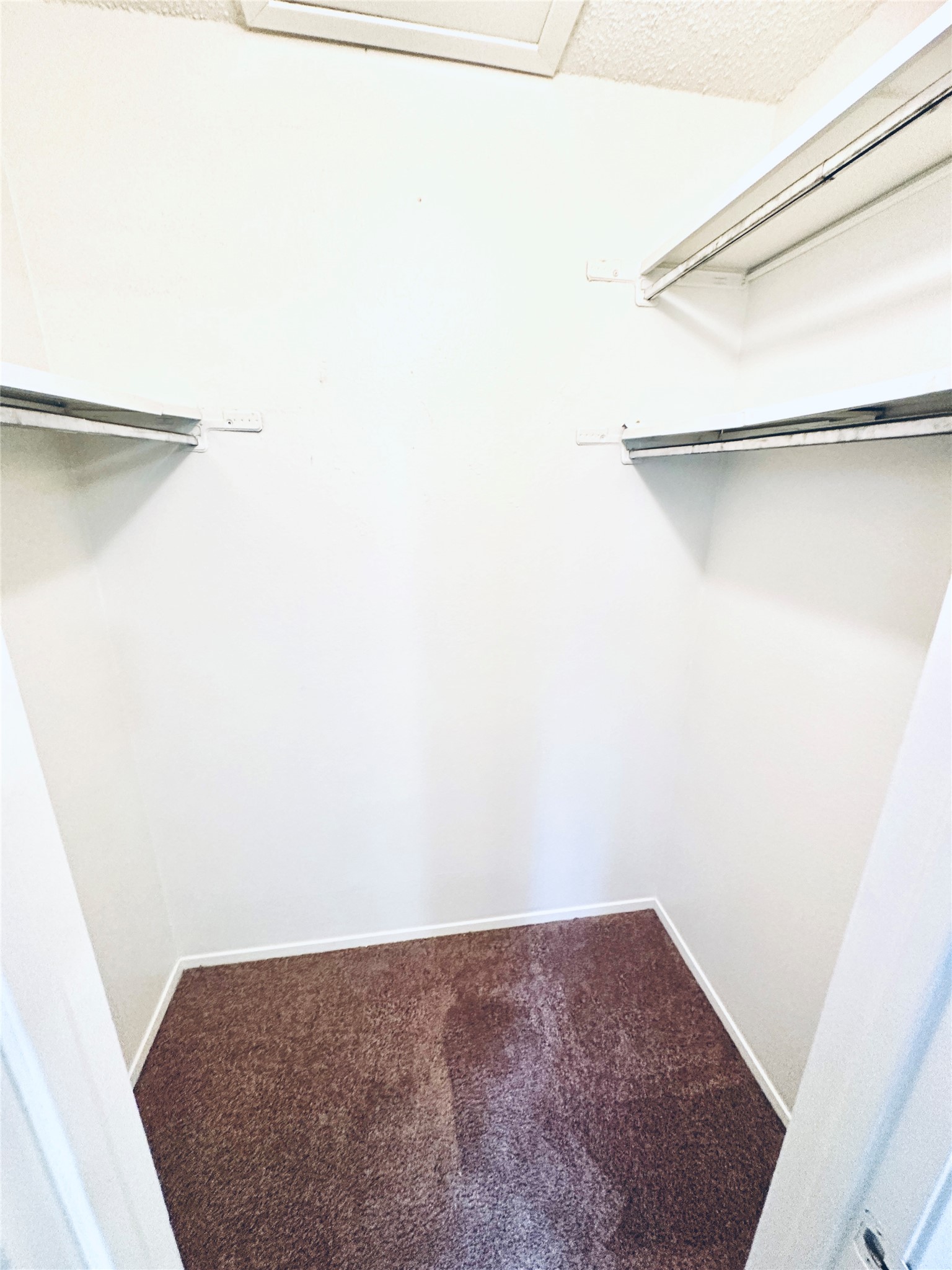 12504 Tree Line Drive, Unit B Austin, TX 78729 - Photo 17 of 22 Walk in closet with carpet