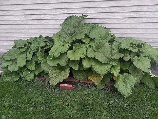 $410,000 | 3531 1st Street North, Fargo, ND 58102