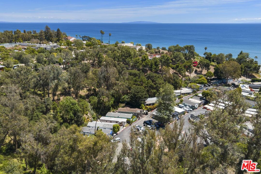 29 Paradise Cove Road Malibu, CA 90265 - Photo 23 of 33 a view of a bunch of trees in a field