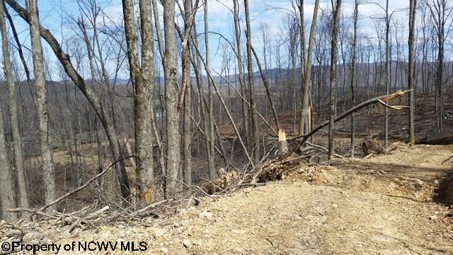 2 Knob Beverly, WV 26253 - Photo 2 of 4 Gallery Image 2
