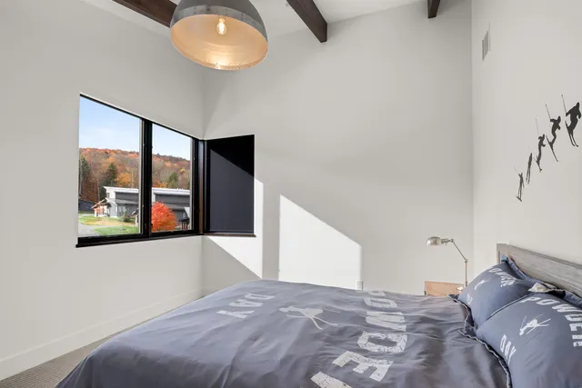 $2,675,000 | 7 Natures Way, Unit WW 4, Stowe, VT 05672