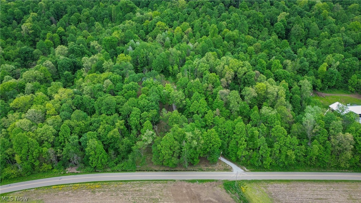 5309 Cherry Run Road Northwest Strasburg, OH 44680 - Photo 37 of 49