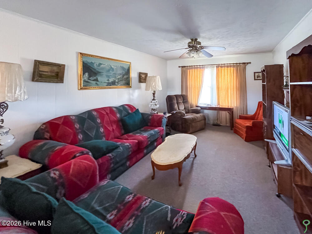 335 Baltimore Road Council, NC 28434 - Photo 24 of 38 IMG_3801-EditOct 20, 1973