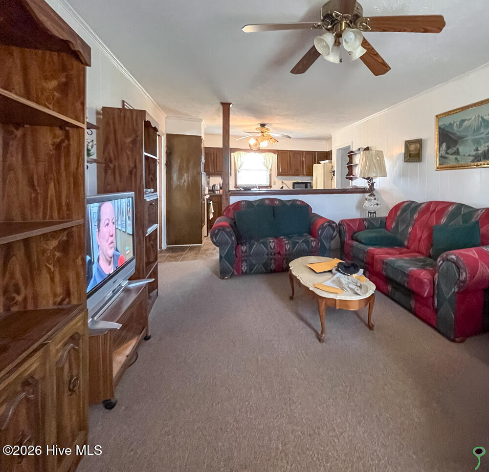 335 Baltimore Road Council, NC 28434 - Photo 25 of 38 March 09, 2026-23-EditOct 20, 1973