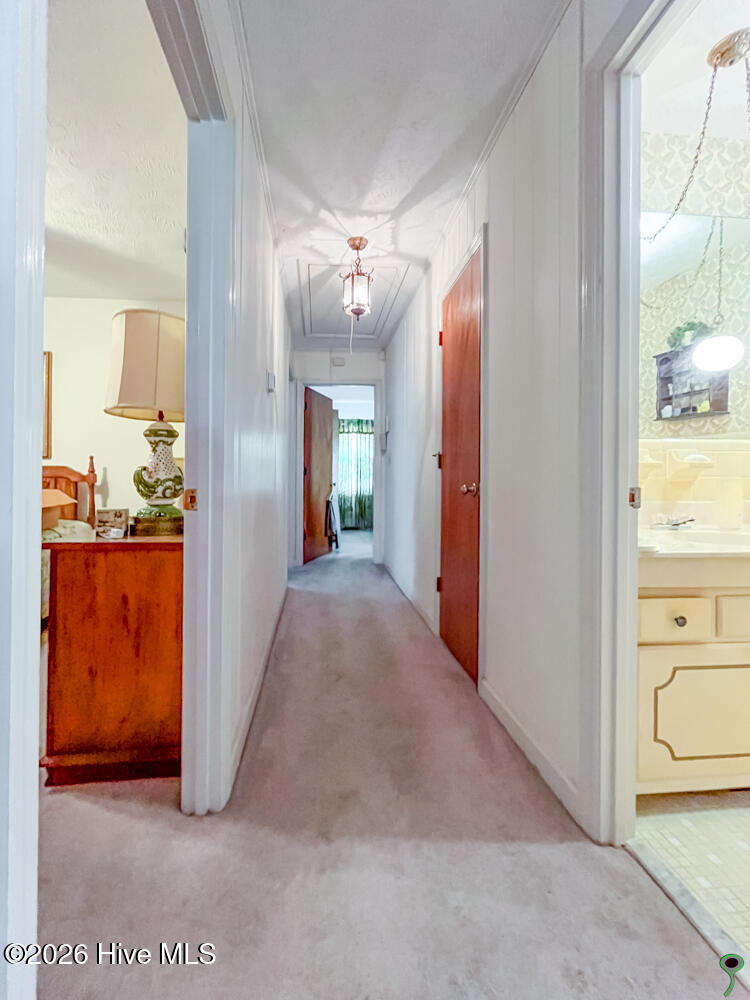 335 Baltimore Road Council, NC 28434 - Photo 30 of 38 March 09, 2026-19Oct 20, 1973-2