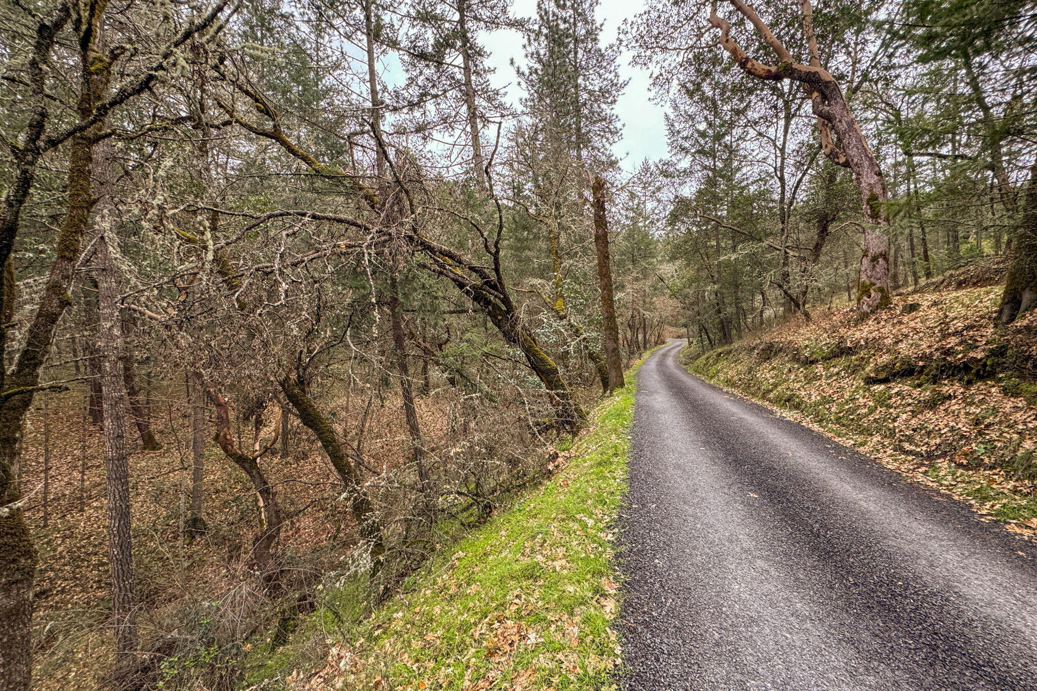 2109 Knowles Road Medford, OR 97501 - Photo 6 of 67 5-web-or-mls-ApxKR (5)