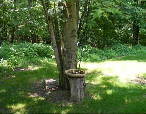 2031 Alamae Lakes Road Washington, PA 15301 - Photo 3 of 16 Land/Lot. Saint Francis would have loved this abode.