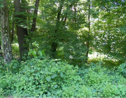 2031 Alamae Lakes Road Washington, PA 15301 - Photo 4 of 16 Land. Lot extends into the woods behind. If you love the outdoors--you will love this house!