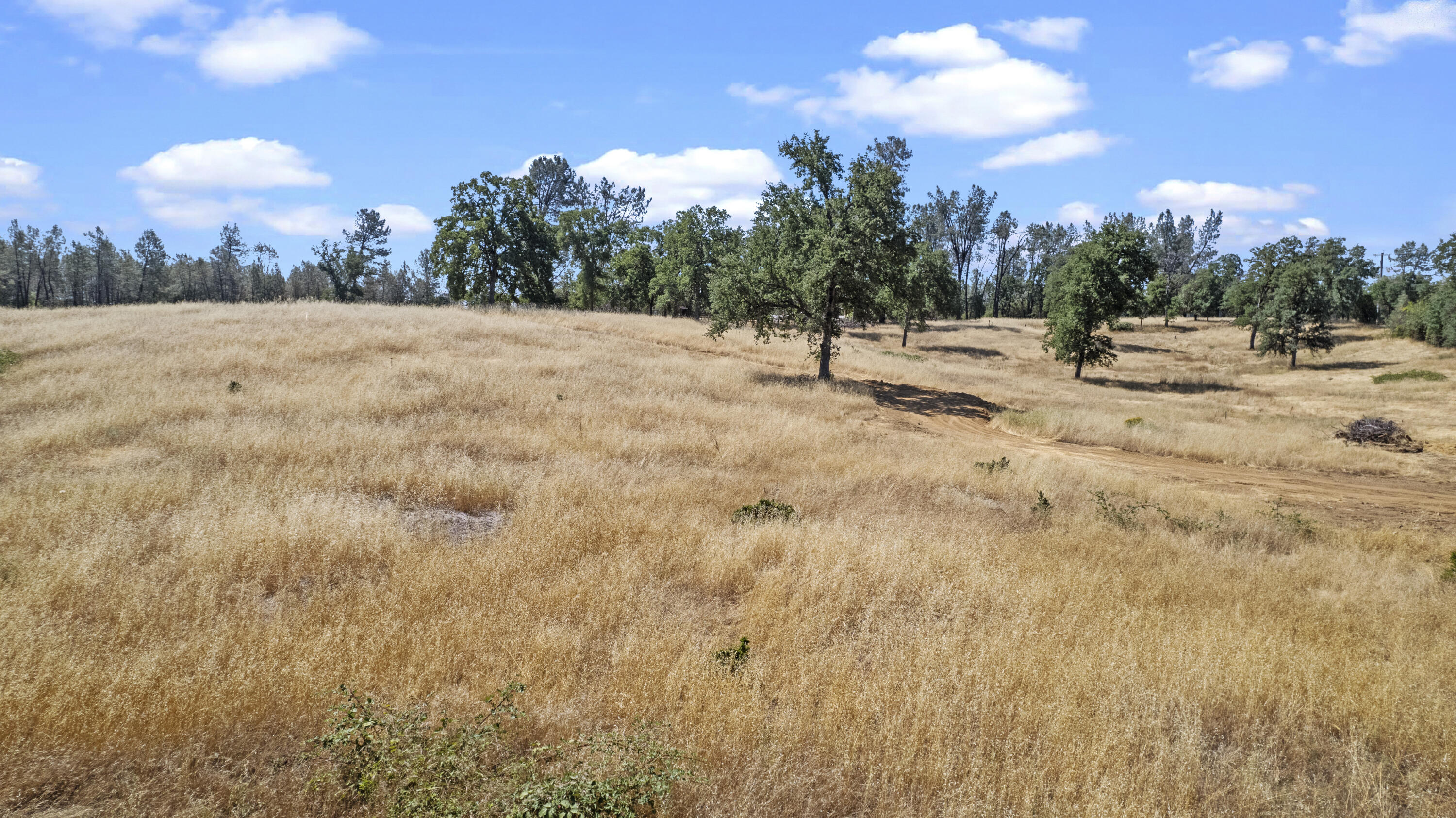 East Stillwater Road Redding, CA 96003 - Photo 10 of 13 DJI_0916