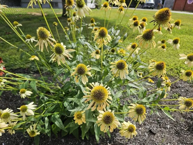 $375,000 | 775 Highway 2, Wilton, ME 04294