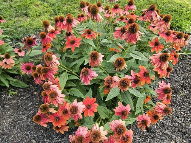 $375,000 | 775 Highway 2, Wilton, ME 04294