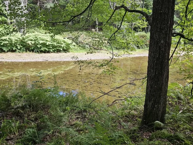 $375,000 | 775 Highway 2, Wilton, ME 04294