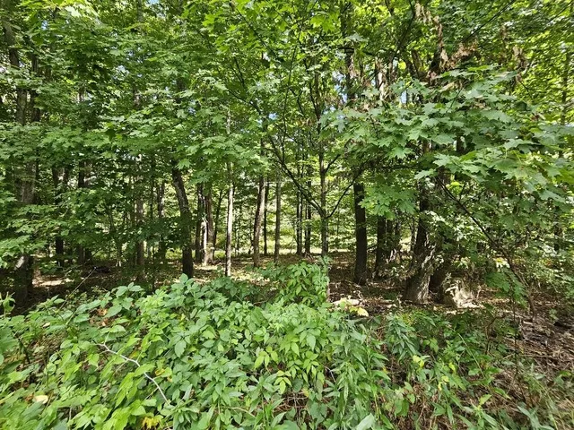 $375,000 | 775 Highway 2, Wilton, ME 04294