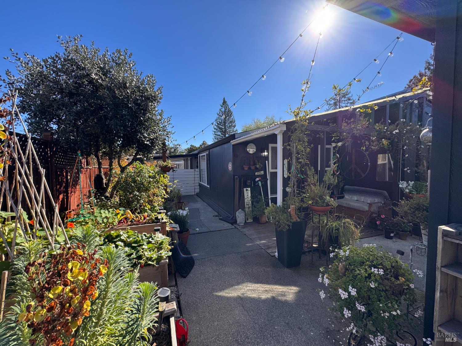 52 Oakstone Court, Unit 52 Santa Rosa, CA 95409 - Photo 35 of 49 a backyard of a house with lots of green space