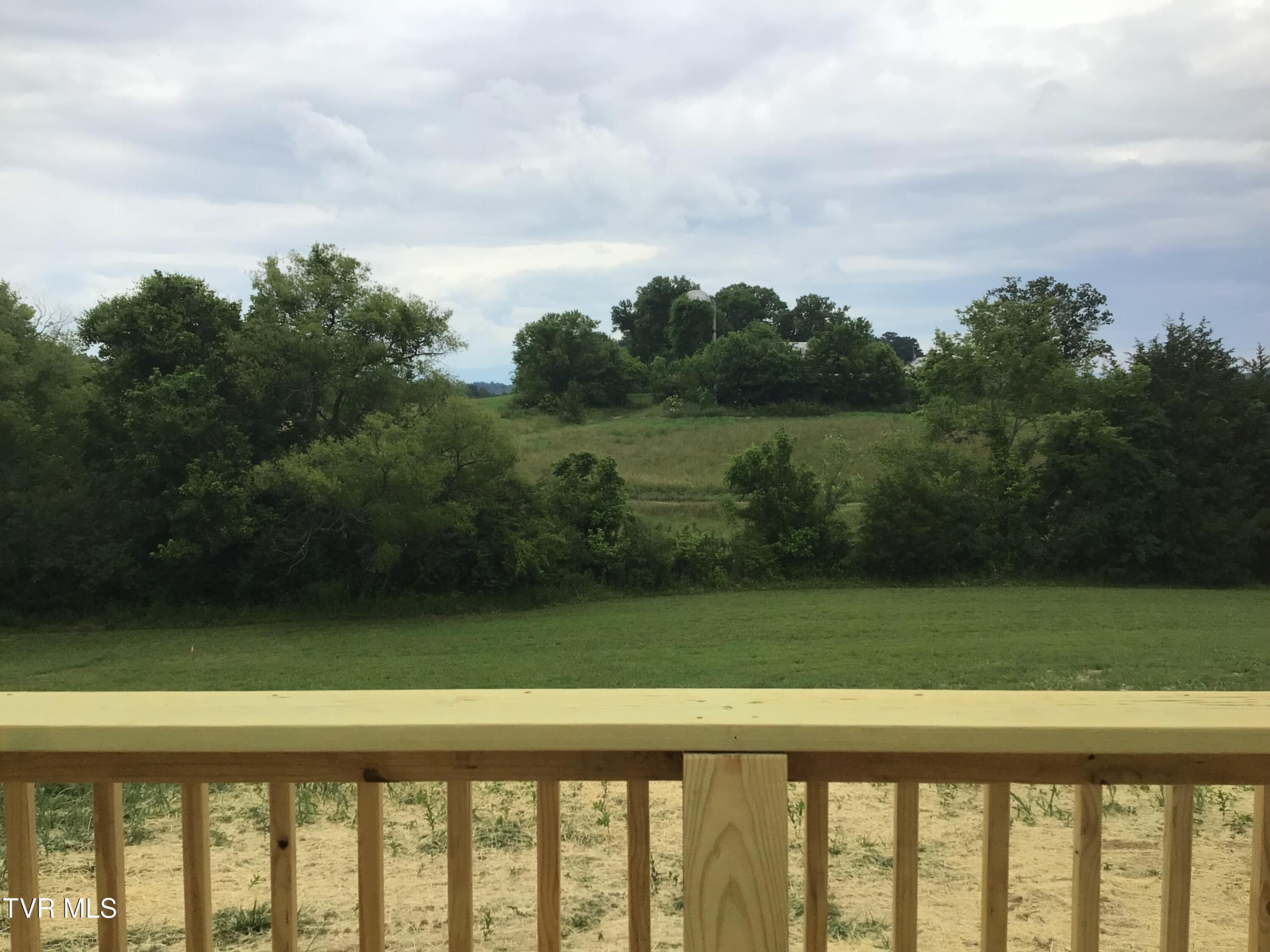 825 Dulaney Road Mosheim, TN 37818 - Photo 6 of 30 825 Dulaney Rd
