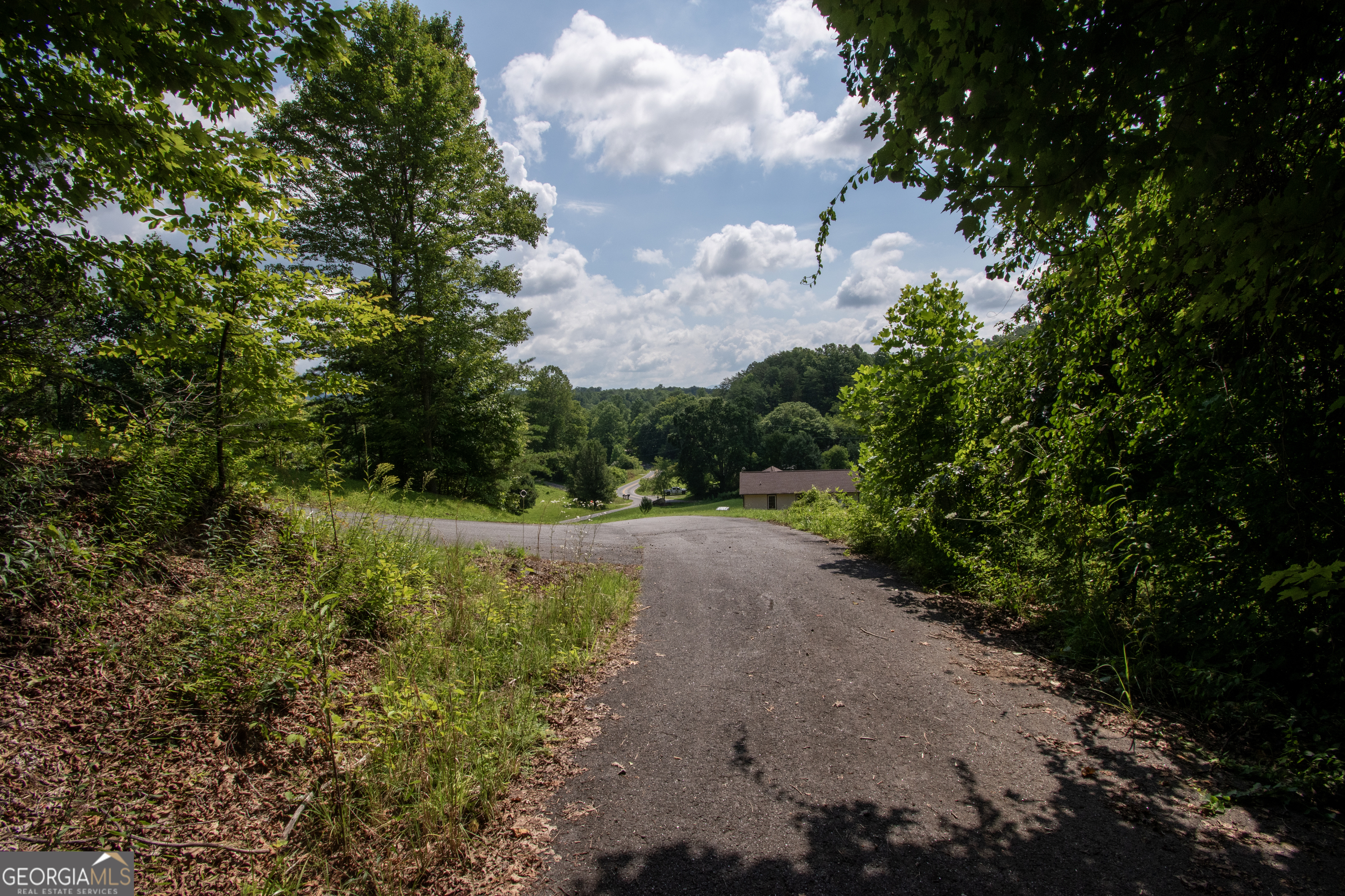 850 Bluff Road Marble, NC 28905 - Photo 6 of 31 Gallery Image 6