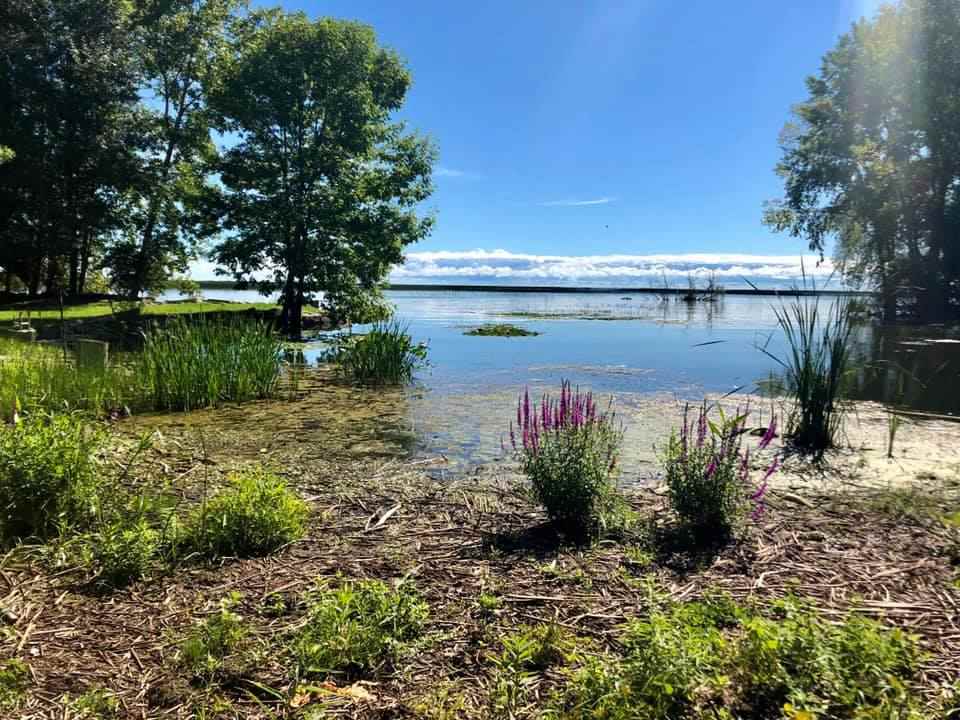 2394 Oak Road Pinconning, MI 48650 - Photo 30 of 37