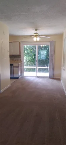 a view of a livingroom with an empty space and a fireplace