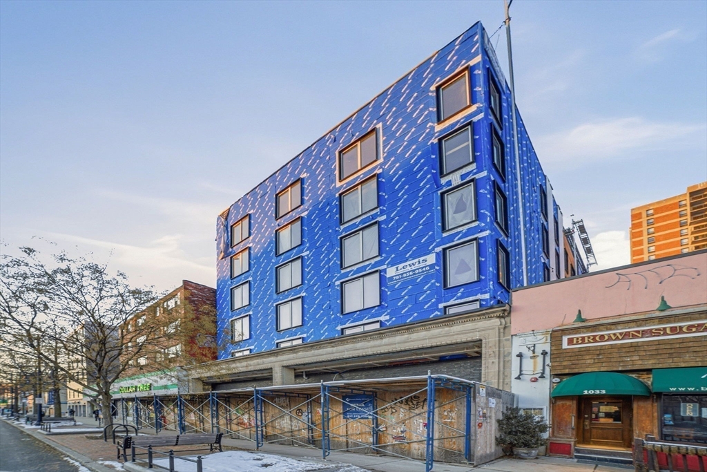 1035 Commonwealth Avenue, Unit 306 Boston, MA 02215 - Photo 13 of 17