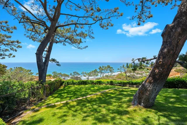 a view of a garden with a tree