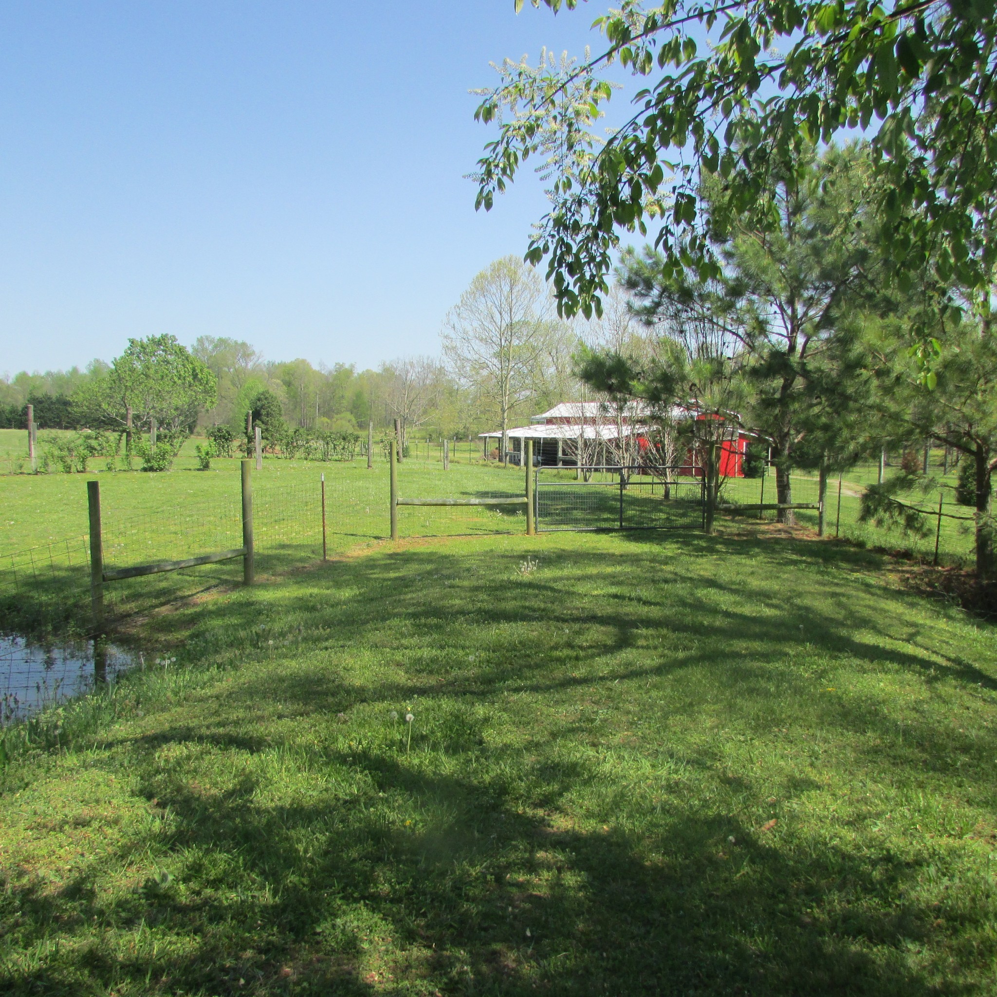 75 Snell Road Ethridge, TN 38456 - Photo 32 of 51 a view of a park with large trees