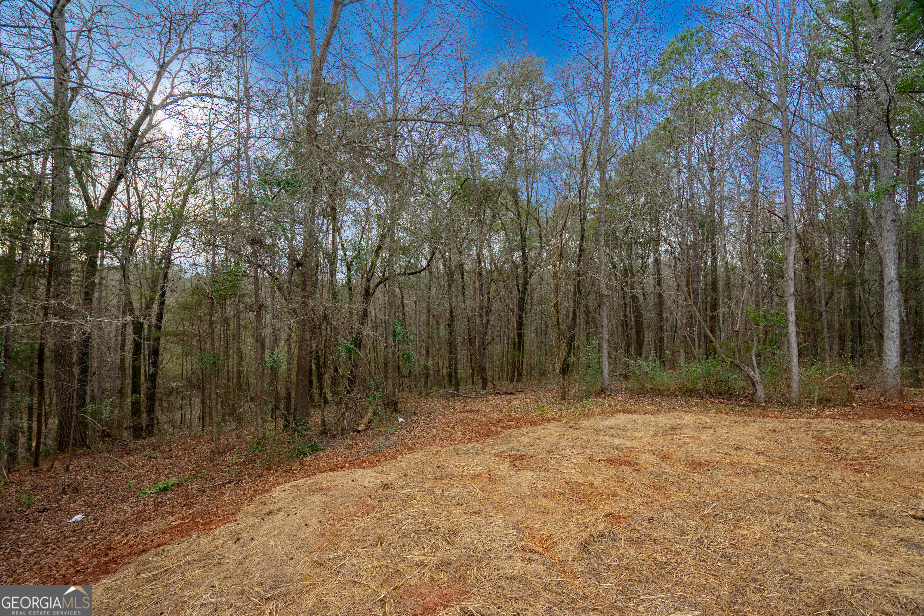 264 South Glenn Road LaGrange, GA 30241 - Photo 39 of 43