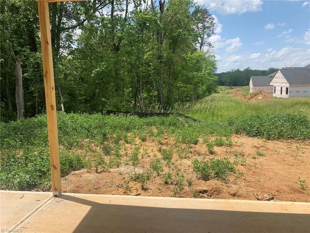 3213 Sycamore Point Trail High Point, NC 27265 - Photo 9 of 12