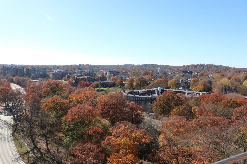 80-82 Fenwood Road, Unit 1011 Boston, MA 02115 - Photo 3 of 8