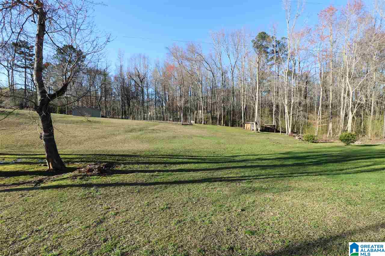595 Fincher Road Pell City, AL 35128 - Photo 36 of 47