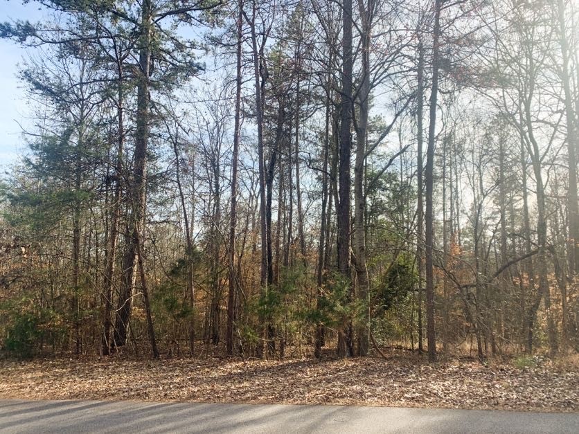 0 Oak Valley Road Seneca, SC 29678 - Photo 10 of 13 Gallery Image 10