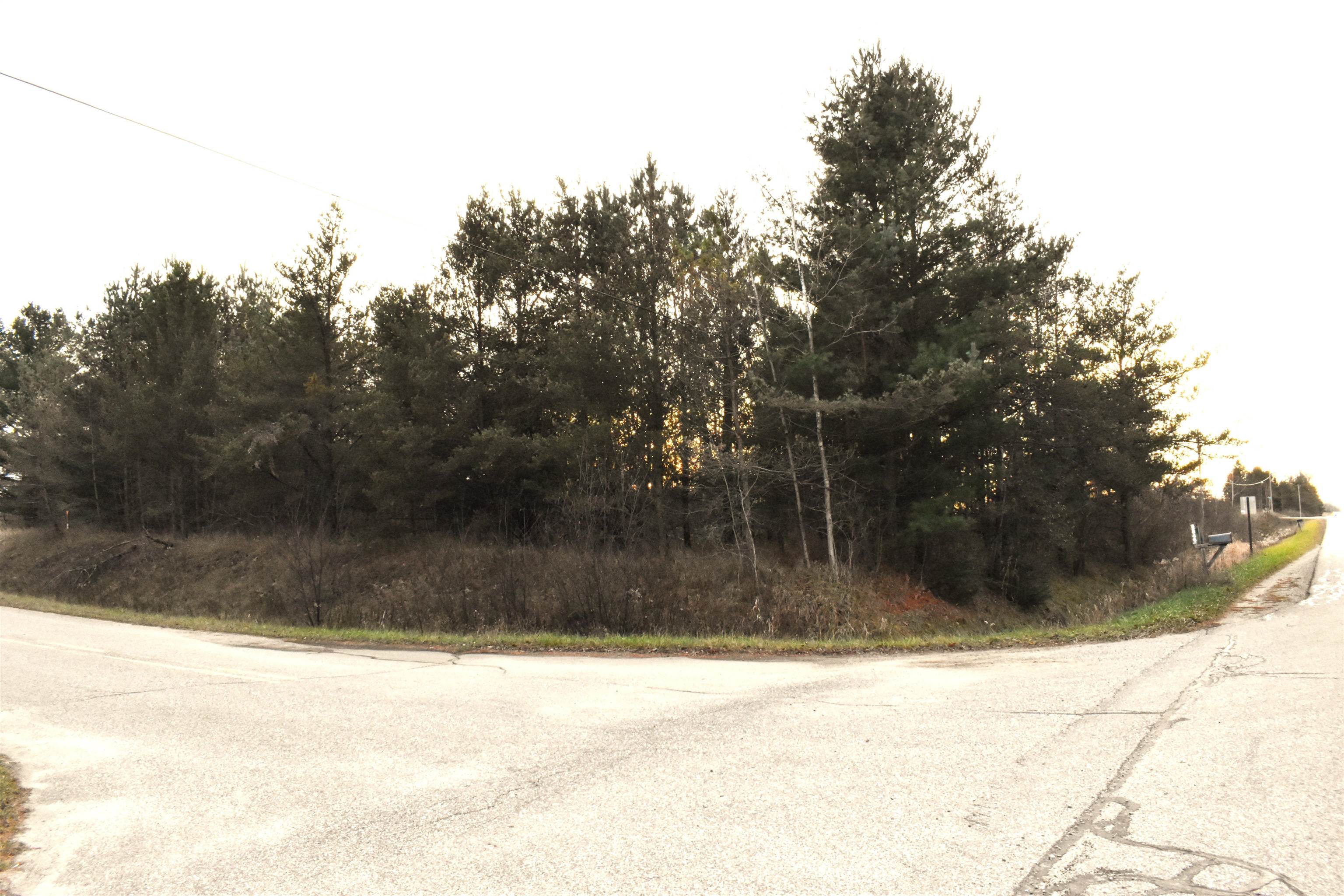 Lot 11 North Westchester Road Gladwin, MI 48624 - Photo 1 of 6
