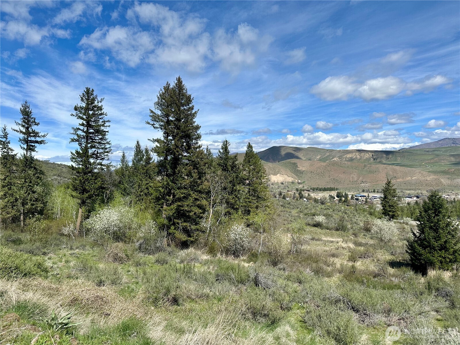 2 X Alder Road Twisp, WA 98856 - Photo 7 of 38
