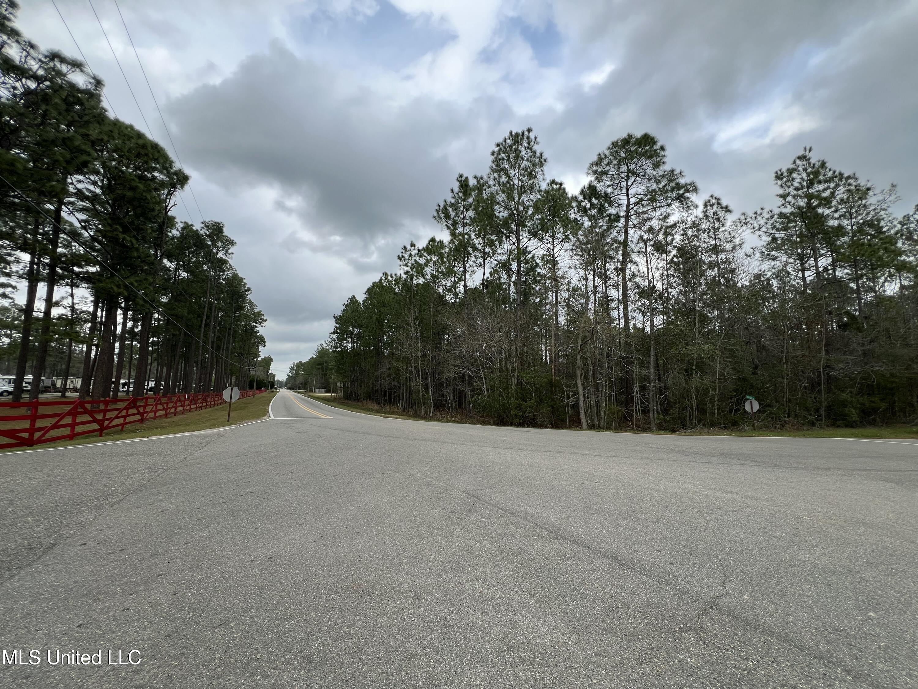 Stafford Road Picayune, MS 39466 - Photo 2 of 7 IMG_5908