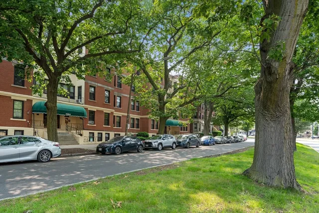 a row of houses with yard and trees
