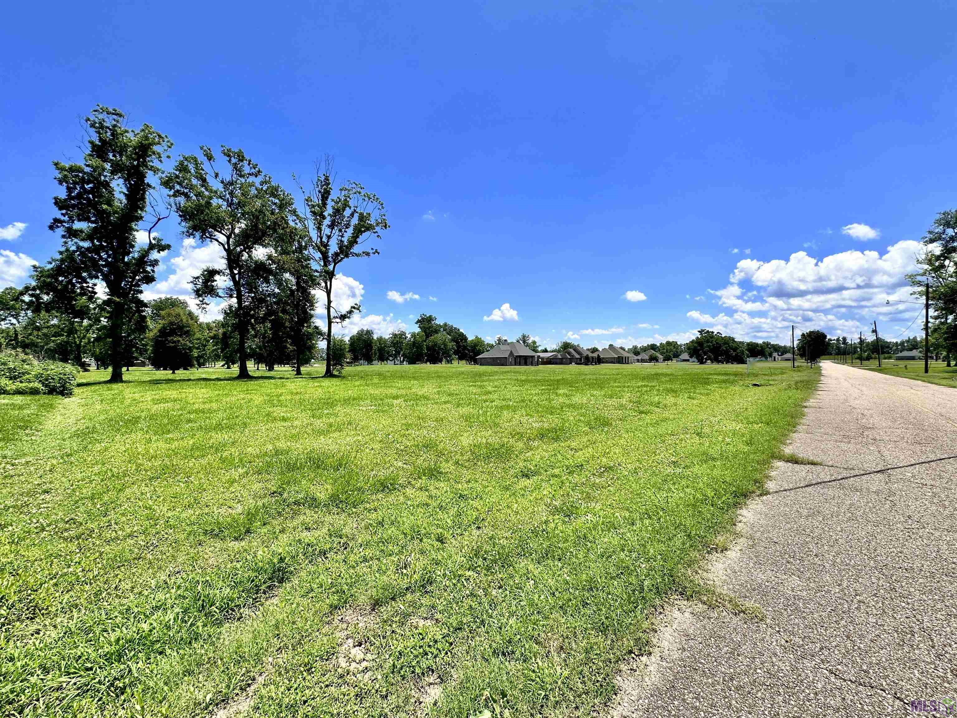 3224 Stanford Levy Road Darrow, LA 70725 - Photo 2 of 5