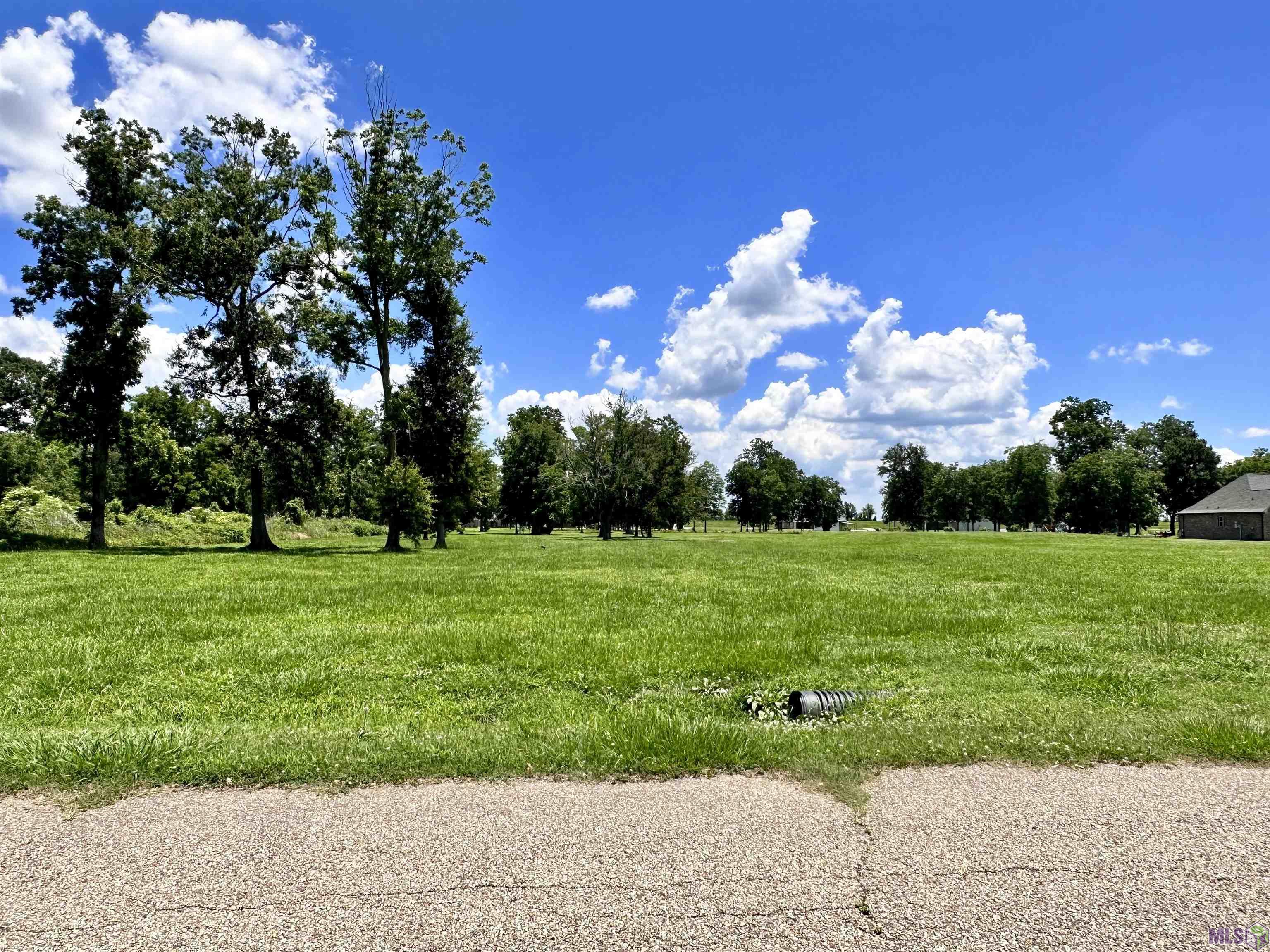 3224 Stanford Levy Road Darrow, LA 70725 - Photo 3 of 5