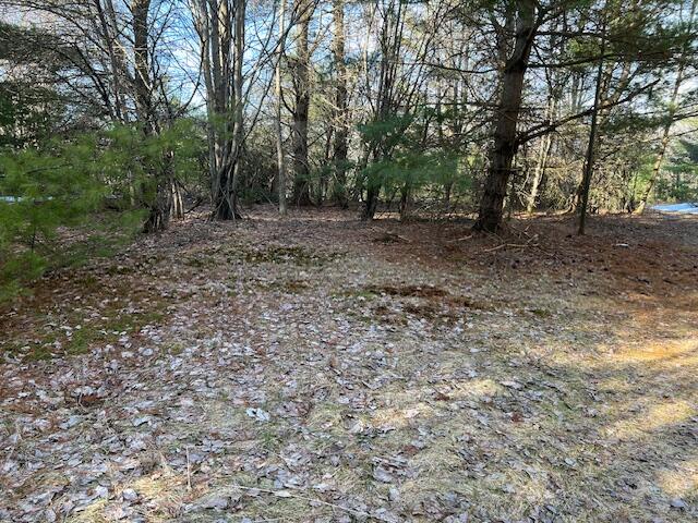 0 Burnt Hill Road Cadyville, NY 12918 - Photo 3 of 5