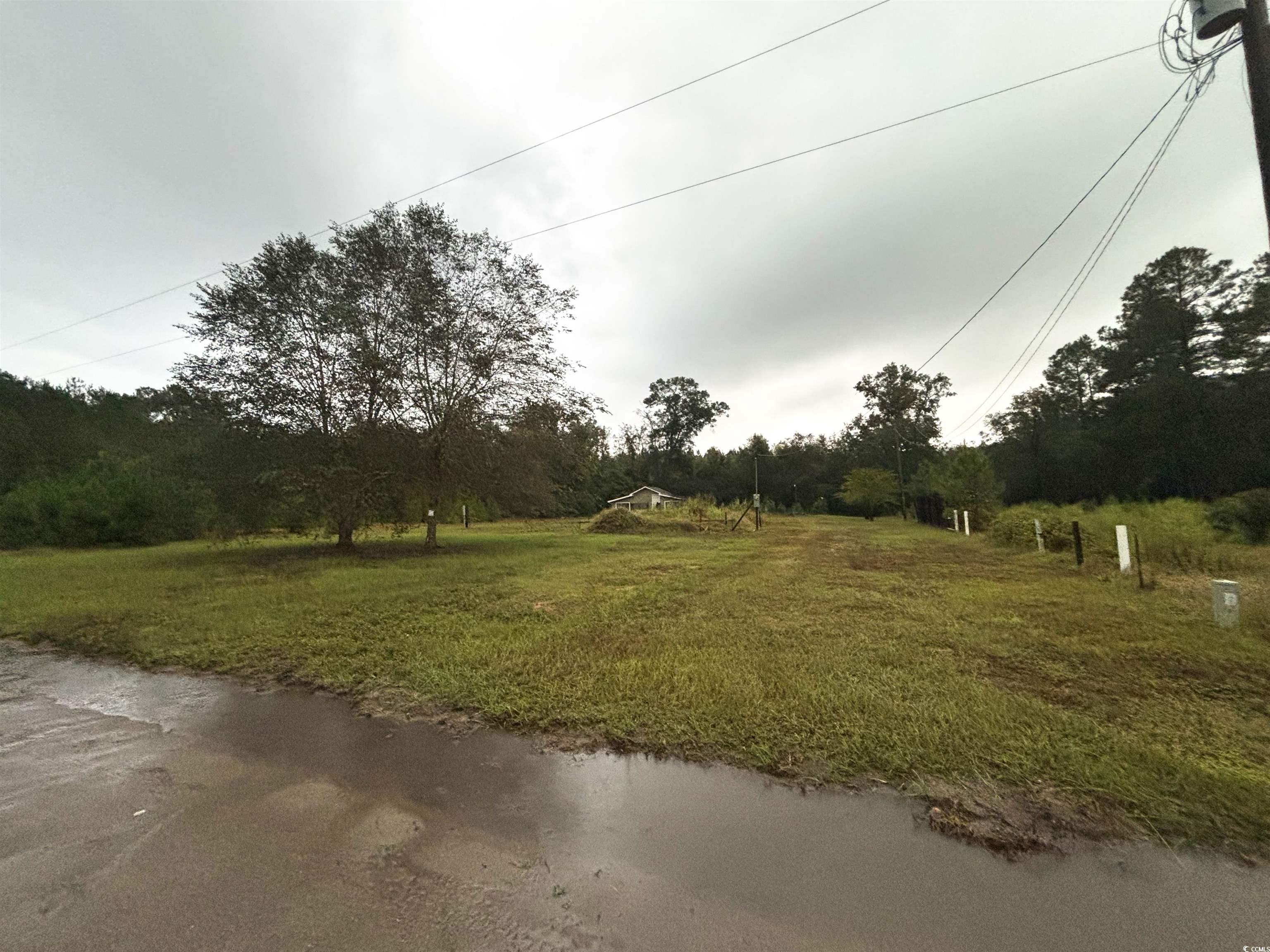 7023 New Bridge Road Nichols, SC 29581 - Photo 3 of 12