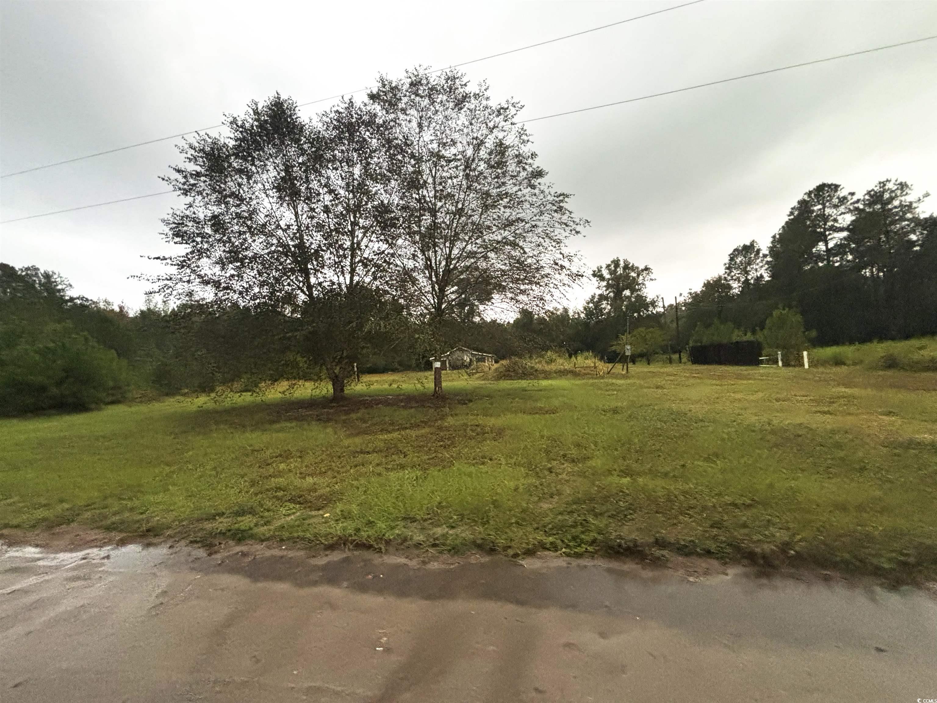 7023 New Bridge Road Nichols, SC 29581 - Photo 4 of 12